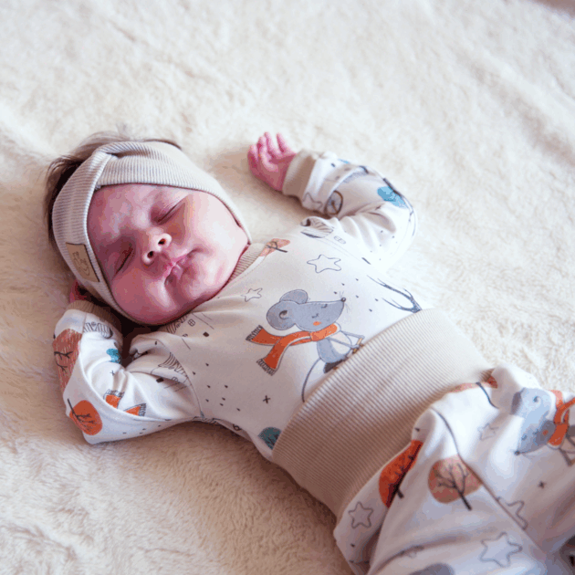 Body Myszy na rowerze